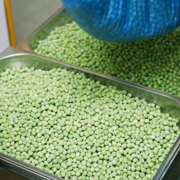 Hot Sale Frozen Green Peas IQF Green Peas Frozen Mixed Vegetables - Image 4