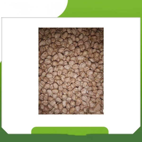 Highest Quality Best Natural White Chick Peas Agriculture Products Supplier From India - Image 6