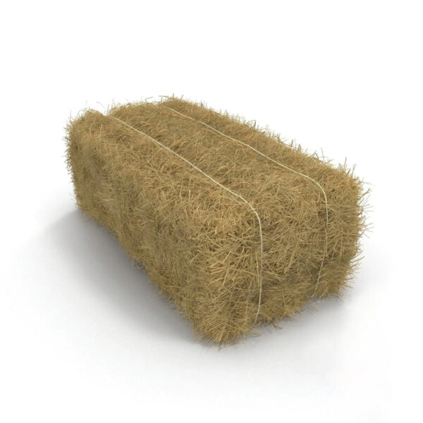 Export Quality (Wheat Straw) hay Bales Best Wheat hay Bales Alfalfa Animal Feed From Pakistan - Image 5