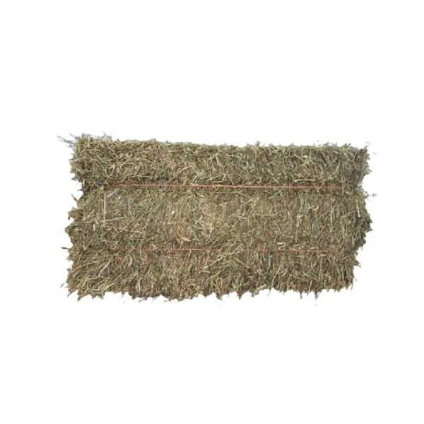 High Quality Alfalfa hay for Animal Feed Available at Factory Price Perfect for Bulk Wholesale and Livestock Farmers - Image 5