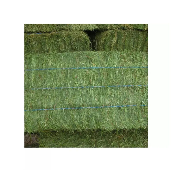 Top Quality Alfafa Hay for Animal Feeding Stuff Alfalfa / Alfalfa Hay - Image 5