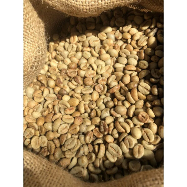 Price Robusta Coffee Green Beans Vietnam Coffee Full washed SCR18 Grade Vietnam Arabica Coffee Bean - Image 4