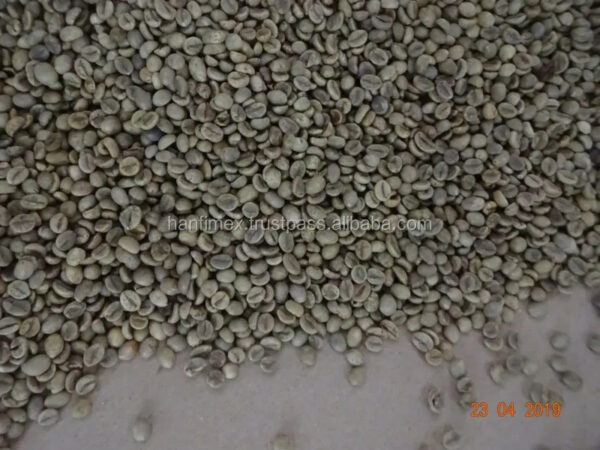 VIETNAM ROBUSTA COFFEE BEANS UNROASTED S16 WET POLISHED NEW CROP WHOLESALE LOW PRICE TOP DIRECT FARMS FACTORY - Image 5