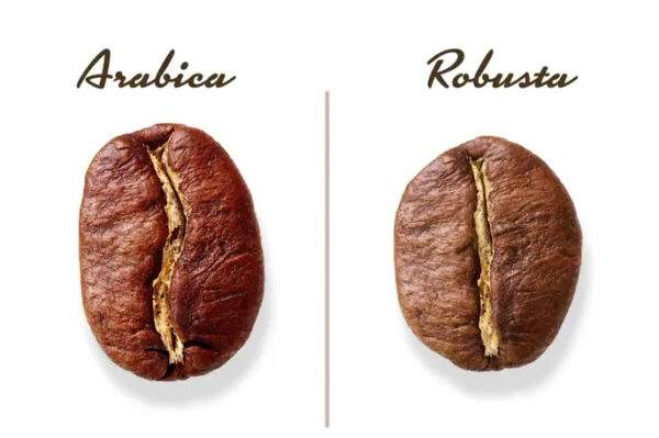 Roasted Arabica Coffee Beans S18 Robusta coffee Vietnam#cheap price - Image 5