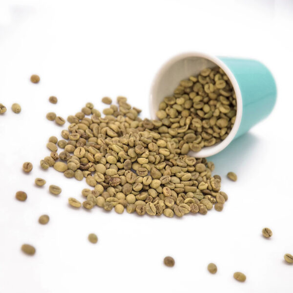 Price Robusta Coffee Green Beans Coffee Full washed SCR18 Grade Vietnam Arabica Coffee Bean - Image 5