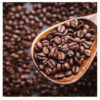 Hot Selling Premium Quality Coffee beans with Wholesale Arabica Coffee Beans - Image 5