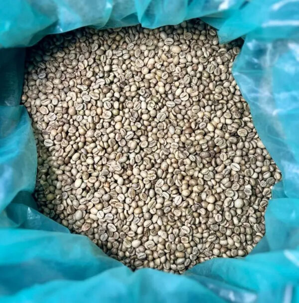 Factory sales Robusta Coffee Beans Unroasted Green - Image 5