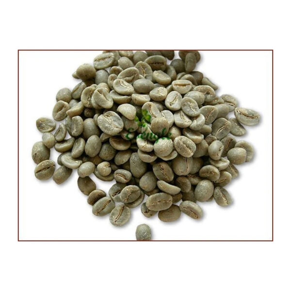 Excellent Top Grade Arabica Green Coffee Beans For Sale - Image 5