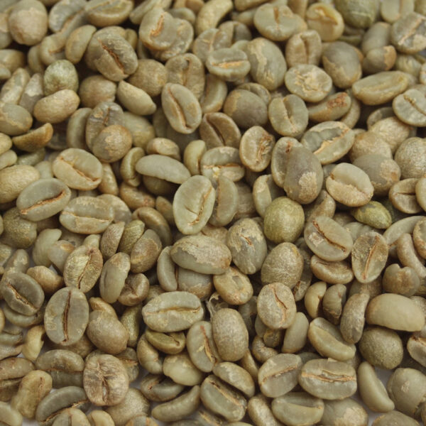 Export Quality Green Coffee Bean Factory Direct Sale Robusta Coffee Wholesale Price High Grade Fresh Robusta Coffee. - Image 5