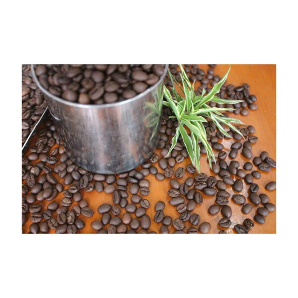 Green Coffee Beans Arabic Coffee High Quality - Image 3