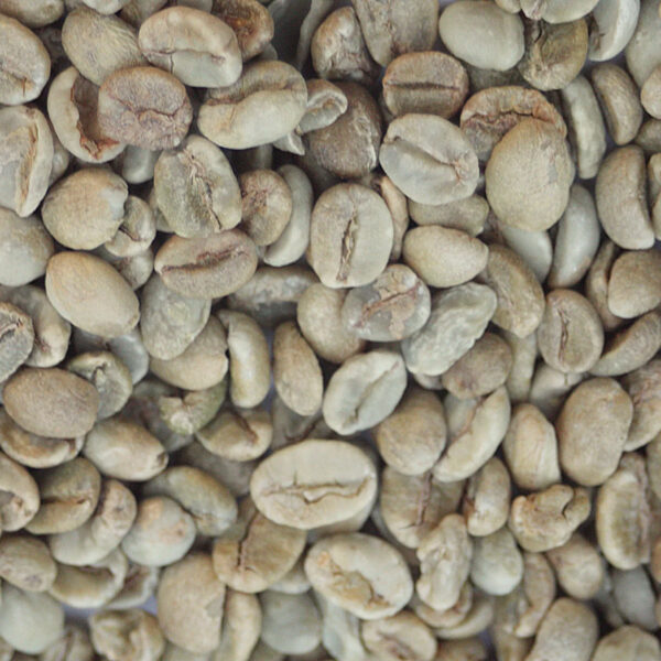 Quality Arabica Beans Coffee and Robusta Coffee Beans for sale - Image 5