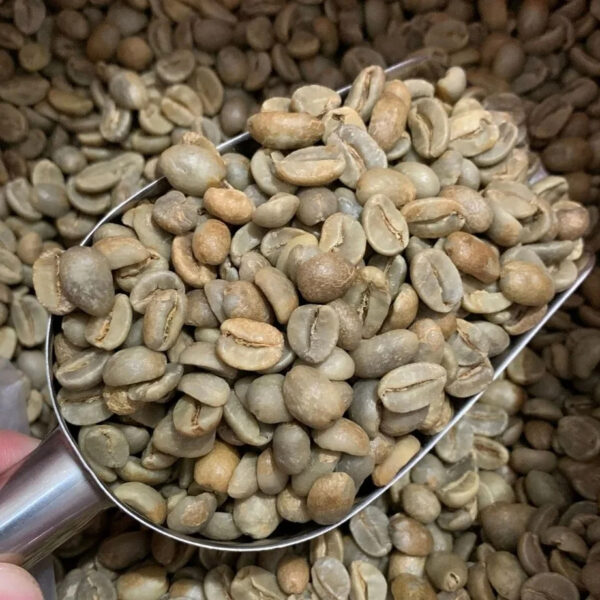 Coffee Bean and Ground Coffee SALE Coffee Bean Traders - Image 6