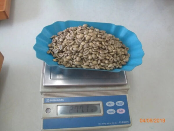 VIETNAM ROBUSTA COFFEE BEANS SIZE 18 WET POLISHED NEW CROP WHOLESALE LOW PRICE TOP DIRECT FARMS FACTORY - Image 6