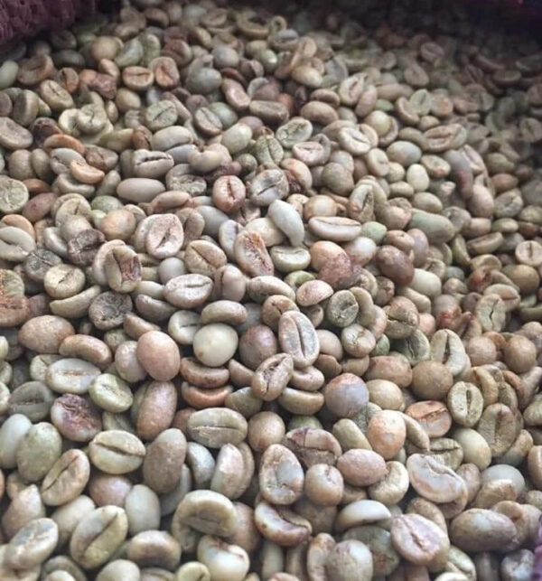 Wholesale Price Robusta Coffee Bean Organic Fresh Raw Roasted High quality Arabica Traditional Coffee - Image 6