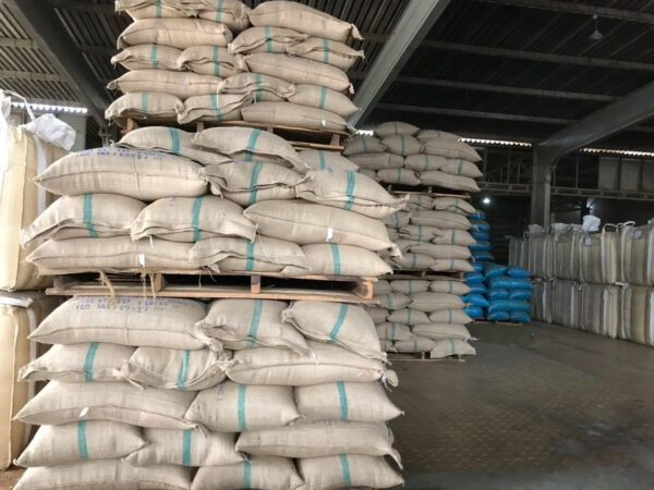 NEW CROP 2024 VIETNAM ROBUSTA COFFEE BEAN SCR 13 16 18 FROM VIETNAM - Image 6