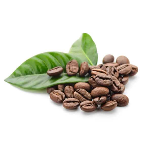 Wholesale Premium High Quality Raw Coffee Beans Directly from The Farm Grade 100% Arabic Green Coffee Beans - Image 6