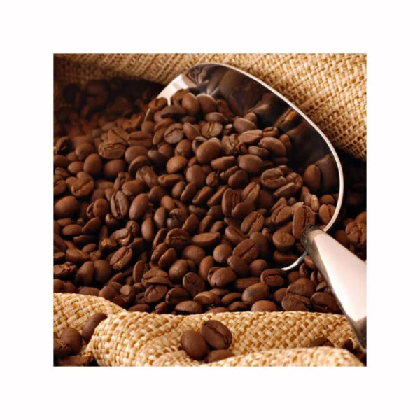 Wholesale Price Gold Blend 100% Arabica Coffee Bean Halal for home office or horeca - Image 6