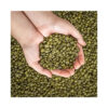 Premium Grade Arabica 1961 Organic 80/20 Roasted Coffee Beans Award Winning Coffee Brands Made in Italy - Image 2
