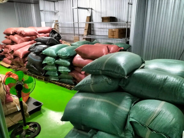 BEST SELLER 2024 Vietnam green coffee beans Robusta fast shipping cheap price . - Image 6