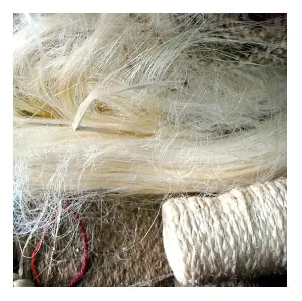 Wholesale Top Quality Sisal Fibre for sale hot discount - Image 6