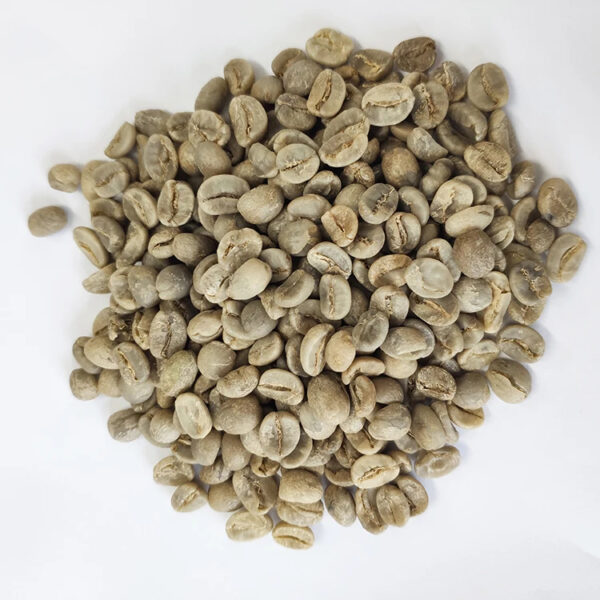 Hot sale arabica coffee bean price with wholesale arabica green coffee beans - Image 6