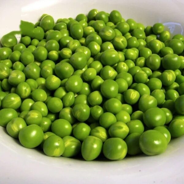 Canned Green Pea - Image 5