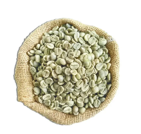 Green Arabica Coffee Beans100% Specialty Green Robusta Coffee beans High Quality Coffee with Affordable Price - Image 6