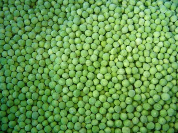 Hot Sale Frozen Green Peas IQF Green Peas Frozen Mixed Vegetables - Image 5