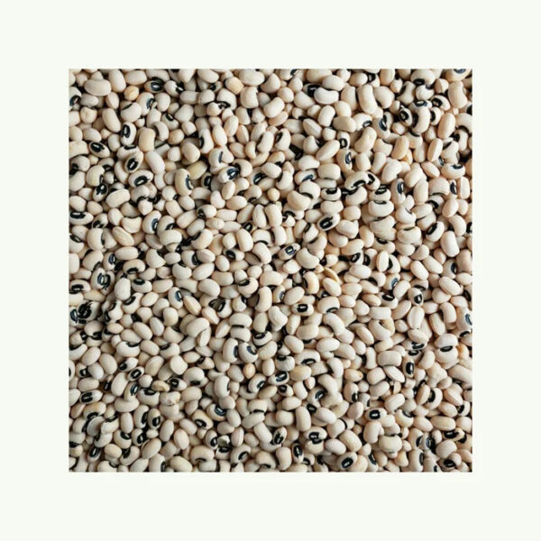 High Quality Pure Natural Black Eyed Peas Beans Cowpea Beans Organic Black Eye White Beans for Sale - Image 6