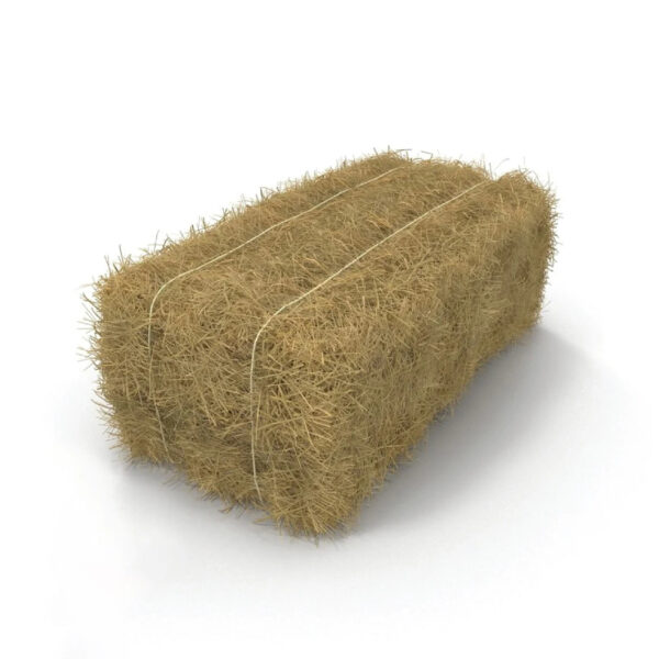 Export Quality (Wheat Straw) hay Bales Best Wheat hay Bales Alfalfa Animal Feed From Pakistan - Image 6