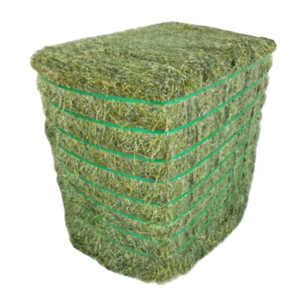 Bulk ALFAFA HAY READY for SUPPLY/ Alfalfa hay with High Protein for Animal Feeding in Bulk - Image 6