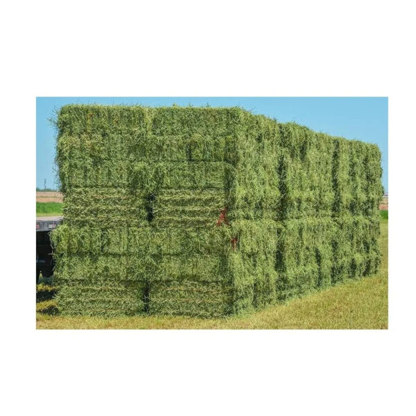 Buy Organic Alfalfa Grass Hay/ Alfalfa Hay Pellets for Animal Feed for Sale Bulk - Image 6