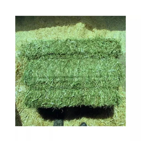 Top Quality Alfafa Hay for Animal Feeding Stuff Alfalfa / Alfalfa Hay - Image 6