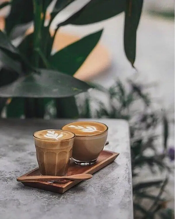 Best Price The Coffee Roasted Bean in 99 Gold Data 99GD arabica robusta Organic Fresh high quality - Image 6