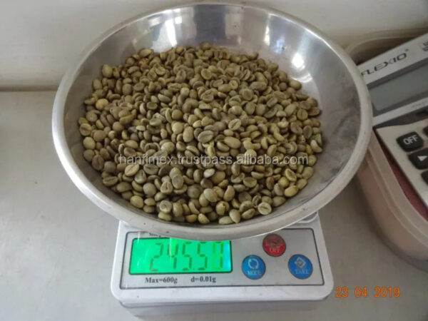 VIETNAM ROBUSTA COFFEE BEANS UNROASTED S16 WET POLISHED NEW CROP WHOLESALE LOW PRICE TOP DIRECT FARMS FACTORY - Image 4