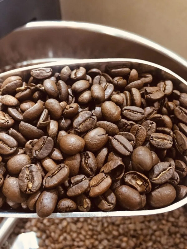 VIETNAM GREEN ROBUSTA COFFEE BEANS WET POLISHED S13 S16 S18 LEADING EXPORT COFFEE - Image 6