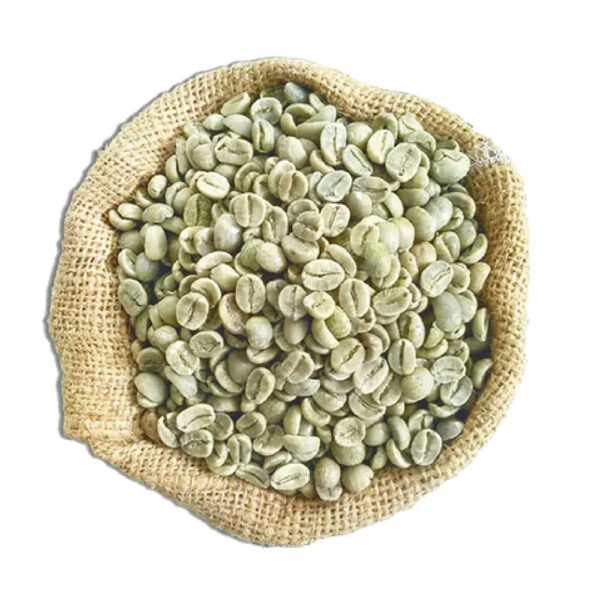 COLUMBIAN BEST SUPREMO GREEN COFFEE BEANS 100% NATURAL ARABICA AGROWELL Coffee Beans Arabica Raw Coffee - Image 6
