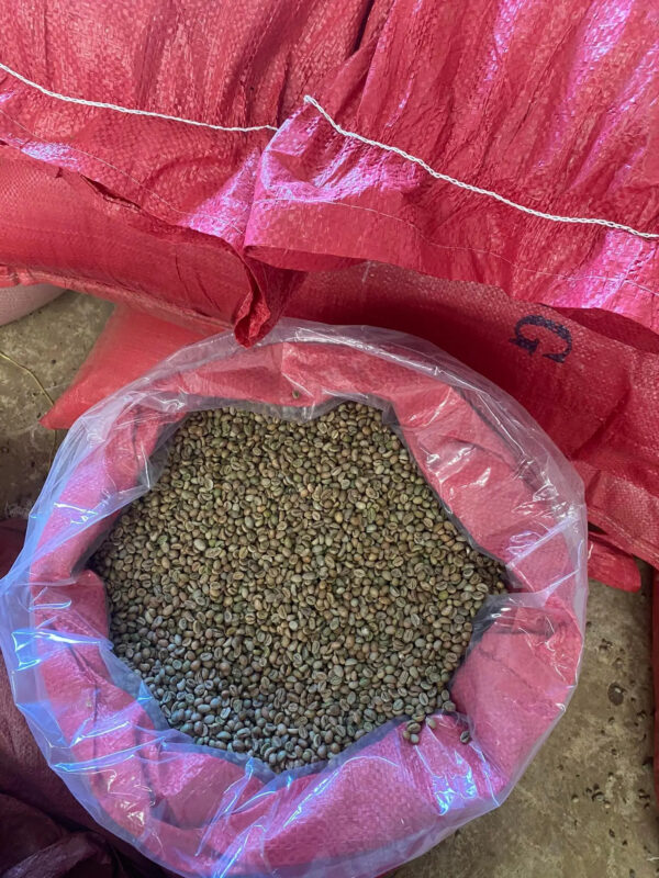 Vietnamese Robusta Coffee Green Beans ready to export around the world green beans coffee 100% Pure Dark Roasted Robusta - Image 6