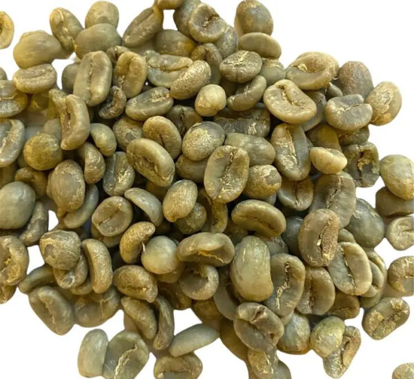 Factory sales Robusta Coffee Beans Unroasted Green - Image 6