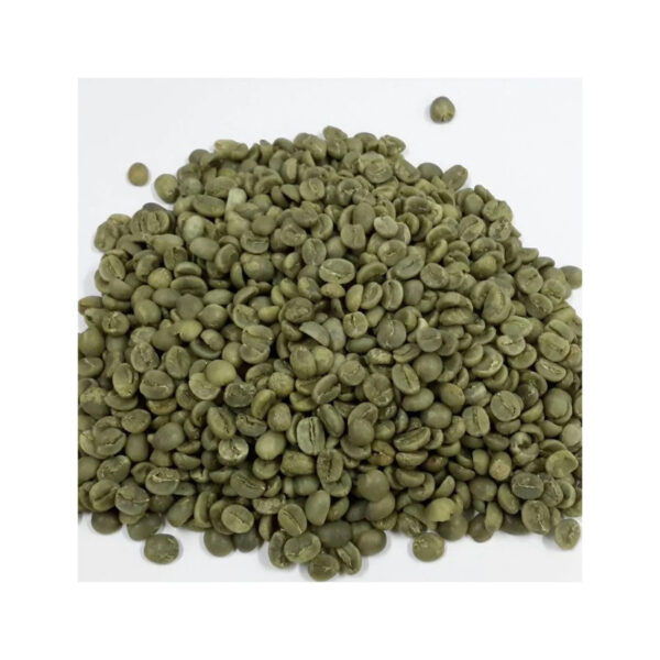 Excellent Top Grade Arabica Green Coffee Beans For Sale - Image 6