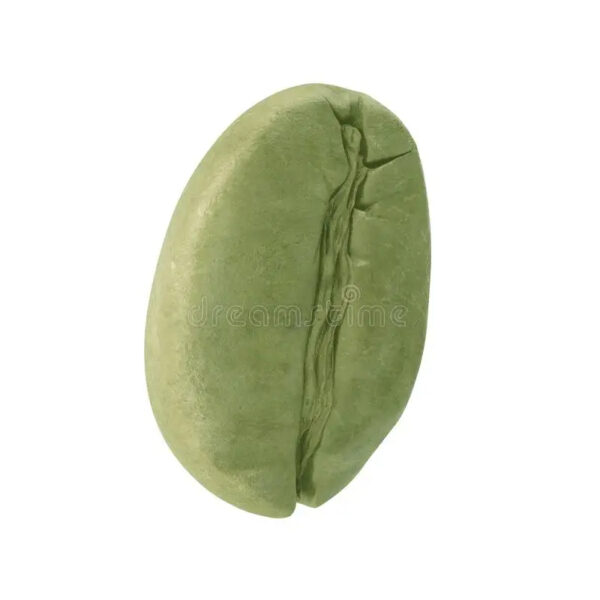 Green Arabica Coffee Beans / Brazilian Coffee Beans For Sale / Ethiopian Arabica Coffee Beans - Image 5