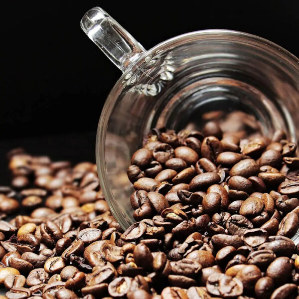 Export Quality Green Coffee Bean Factory Direct Sale Robusta Coffee Wholesale Price High Grade Fresh Robusta Coffee. - Image 6