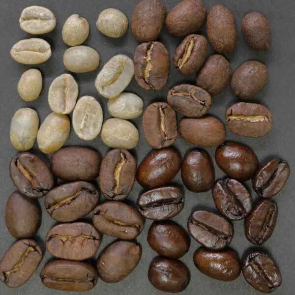 Quality Arabica Beans Coffee and Robusta Coffee Beans for sale - Image 6
