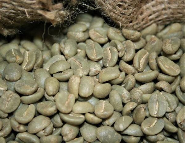 Coffee Beans Top Quality Dried Organic Arabica/Robusta Non-GMO at Wholesale Price - Image 6