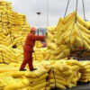 Hot Sale China Manufacture CAS 57-13-6 32%46% Nitrogen Fertilizer Uea Prilled - Image 3