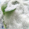 Urea 46 Nitrogen Fertilizer China Shandong Supplier - Image 4