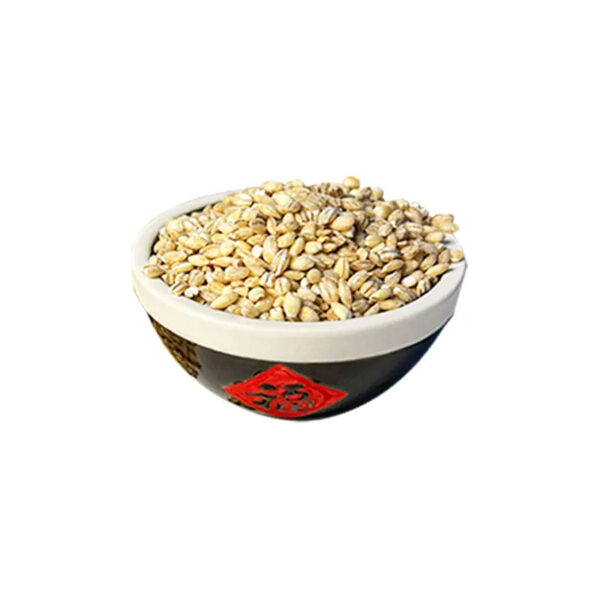 Wholesale Barley Grains Cheap Price Good Quality Highland Barley Quality Barley Groats Natural for Sale