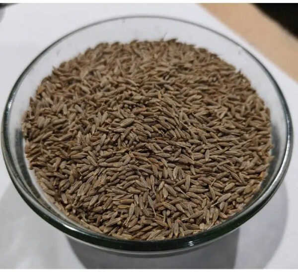 Best Selling Indian Spices and Herbs Cumin Jeera Natural and Organic for extra Food Taste