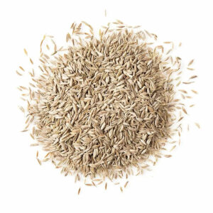 Cheap Price Cumin Seeds Wholesale