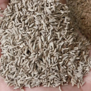 High Quality Premium 100% Natural Dehydrated Cumin Seeds Spices Herbs Cumin Seeds Exporter India